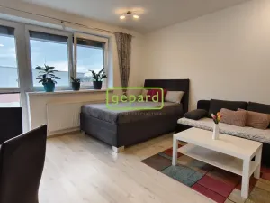 Pronájem bytu 1+kk, Brno - Žebětín, Lišejníková, 31 m2