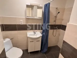 Pronájem bytu 1+kk, Opava, Statková, 29 m2