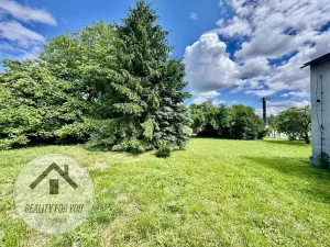 Prodej rodinného domu, Nové Město pod Smrkem, Jizerská, 264 m2
