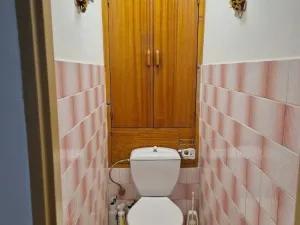 Pronájem bytu 3+1, Kolín, Vrchlického, 78 m2