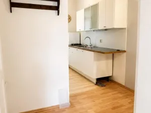 Prodej bytu 1+kk, Praha - Břevnov, Za Strahovem, 29 m2