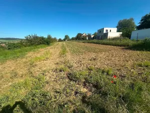Prodej pole, Boršice, 2375 m2
