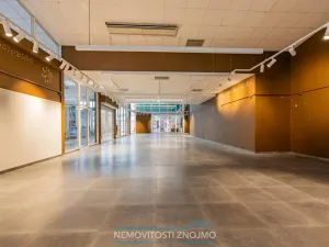 Pronájem obchodního prostoru, Chvalovice - Hatě, 274 m2