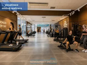 Pronájem obchodního prostoru, Chvalovice - Hatě, 274 m2