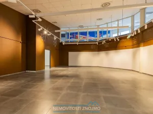 Pronájem obchodního prostoru, Chvalovice - Hatě, 274 m2