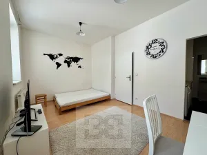 Pronájem bytu 2+kk, Brno, Cejl, 50 m2
