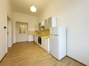 Pronájem bytu 1+1, Praha - Staré Město, U milosrdných, 37 m2