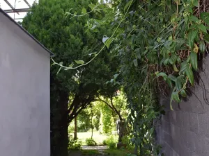 Pronájem bytu 4+kk, Brno, Schodová, 120 m2