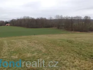 Prodej pole, Srby, 12056 m2