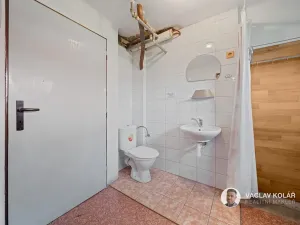 Prodej rodinného domu, Třebnouševes, 310 m2