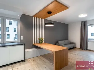 Pronájem bytu 2+kk, Olomouc, Eduarda Hamburgera, 57 m2