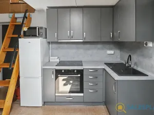 Prodej atypického bytu, Praha - Libeň, Pod Labuťkou, 62 m2