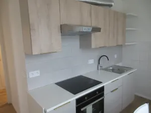 Pronájem bytu 2+1, Brno, Svatopluka Čecha, 53 m2