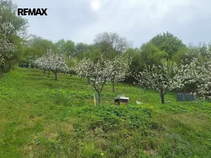 Prodej rodinného domu, Březová nad Svitavou, Zářečí, 100 m2