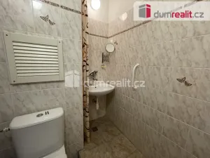 Pronájem bytu 1+kk, Příbram - Příbram I, Riegrova, 23 m2