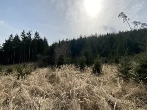 Prodej louky, Městečko Trnávka - Lázy, 1026 m2