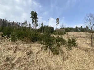 Prodej louky, Městečko Trnávka - Lázy, 1026 m2