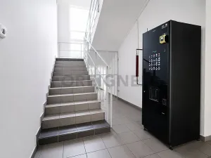 Pronájem skladu, Brno, Vinohradská, 153 m2