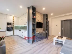 Pronájem bytu 2+kk, Teplice, Křížkovského, 52 m2