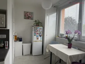 Pronájem bytu 2+1, Uherské Hradiště, Štěpnická, 61 m2