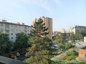 Pronájem bytu 2+1, Praha - Žižkov, Pod lipami, 58 m2