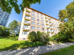 Pronájem bytu 2+1, Praha - Žižkov, Pod lipami, 58 m2