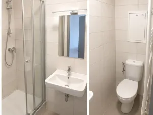 Pronájem bytu 1+kk, Brno, Vlhká, 33 m2