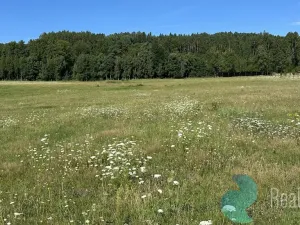 Prodej pozemku pro bydlení, Záboří - Dobčice, 78488 m2