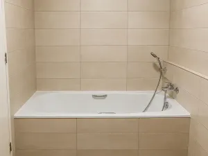 Pronájem bytu 2+kk, Plzeň, U Borských kasáren, 59 m2