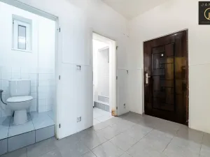 Prodej bytu 1+kk, Praha - Vinohrady, Rejskova, 37 m2