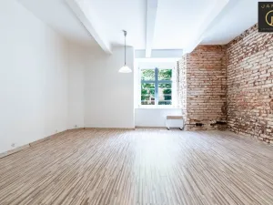 Prodej bytu 1+kk, Praha - Vinohrady, Rejskova, 37 m2