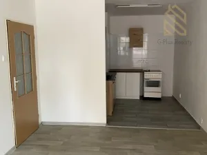 Pronájem bytu 2+1, Bílina - Pražské Předměstí, Fügnerova, 49 m2