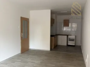 Pronájem bytu 2+1, Bílina - Pražské Předměstí, Fügnerova, 49 m2