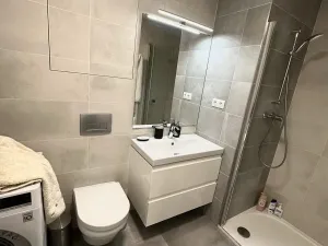 Pronájem bytu 2+kk, Praha - Žižkov, Hartigova, 55 m2