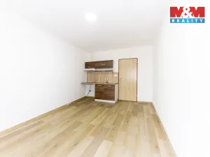 Pronájem rodinného domu, Velim, třída Krále Jiřího, 280 m2