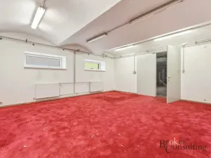 Pronájem výrobních prostor, Blešno, 150 m2