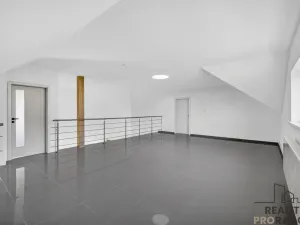 Prodej bytu 5+kk, Dobšice, 224 m2