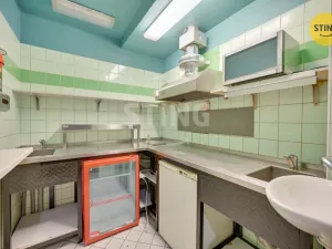 Pronájem komerční nemovitosti, Pardubice, Hronovická, 240 m2