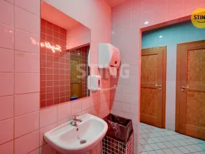 Pronájem komerční nemovitosti, Pardubice, Hronovická, 240 m2