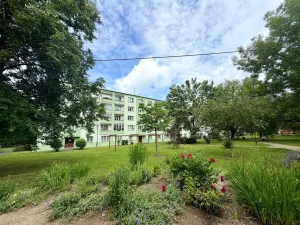 Pronájem bytu 1+1, Cheb, 17. listopadu, 34 m2