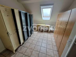 Pronájem výrobních prostor, Uherské Hradiště, Na Příkopě, 780 m2