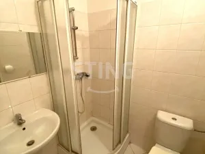 Pronájem bytu 1+kk, Mohelnice, Lazebnická, 42 m2