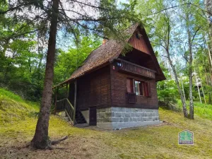 Prodej chaty, Svojšín, 59 m2