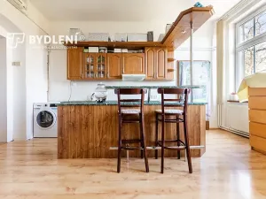 Pronájem bytu 3+kk, Ústí nad Labem, Elišky Krásnohorské, 74 m2