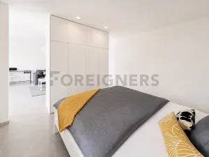 Pronájem bytu 1+kk, Plzeň, Kardinála Berana, 45 m2