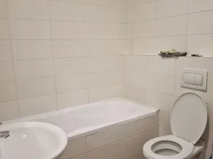 Pronájem bytu 1+kk, Praha - Letňany, 45 m2