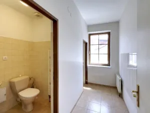 Pronájem obchodního prostoru, Plzeň - Jižní Předměstí, Kollárova, 21 m2