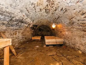 Prodej chalupy, Šebířov, 345 m2