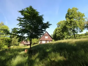 Prodej chalupy, Kounov - Nedvězí, 267 m2
