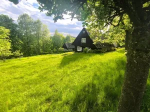 Prodej chalupy, Kounov - Nedvězí, 267 m2